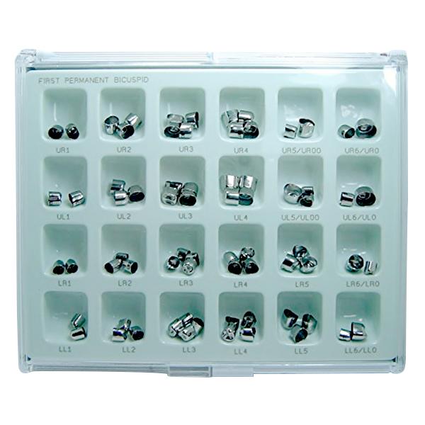 Nowak Stainless Steel Crown 1st Permanent Molar Kit