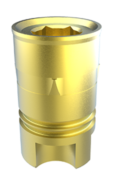 05イグジスト3000 バリアルノブ 05イグジスト3000 バリアルノブ